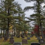 Group of trees and gravestones