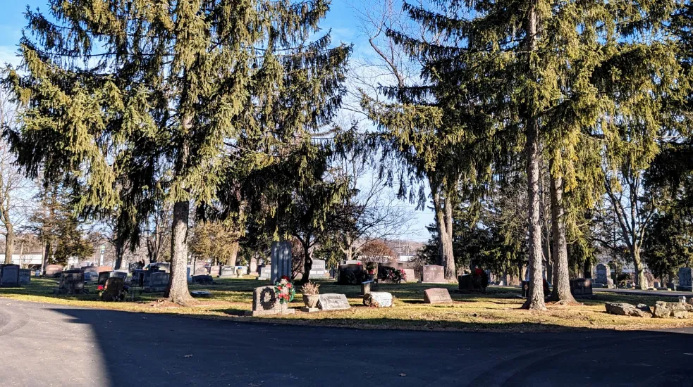 A group of trees and grave stones